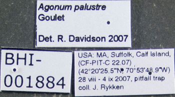 Media type: image;   Entomology 614233 Aspect: labels